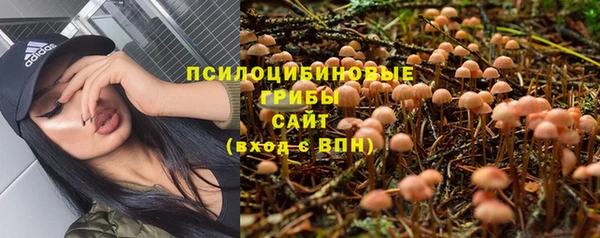 прущая мука Армянск