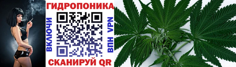 Бошки марихуана Amnesia  Саянск 